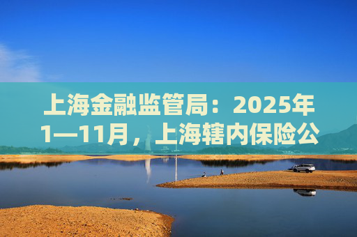 上海金融监管局：2025年1—11月，上海辖内保险公司原保险保费收入累计2784.47亿元