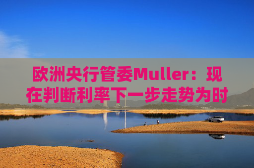 欧洲央行管委Muller：现在判断利率下一步走势为时过早