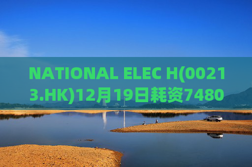 NATIONAL ELEC H(00213.HK)12月19日耗资7480港元回购2.2万股