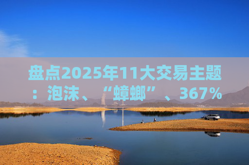 盘点2025年11大交易主题：泡沫、“蟑螂”、367%的狂飙