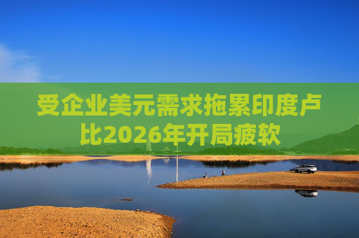 受企业美元需求拖累印度卢比2026年开局疲软
