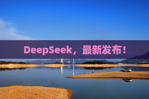 DeepSeek，最新发布！
