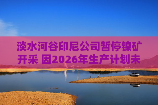 淡水河谷印尼公司暂停镍矿开采 因2026年生产计划未获政府批准  第1张