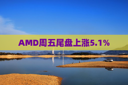 AMD周五尾盘上涨5.1%
