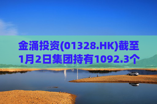 金涌投资(01328.HK)截至1月2日集团持有1092.3个以太币