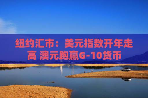 纽约汇市：美元指数开年走高 澳元跑赢G-10货币  第1张