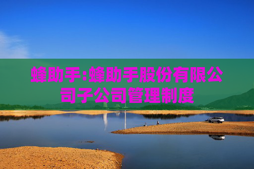 蜂助手:蜂助手股份有限公司子公司管理制度