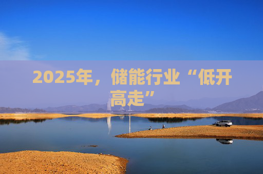 2025年，储能行业“低开高走”
