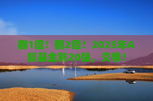 翻1倍！翻2倍！2025年A股基金前20强，交卷！