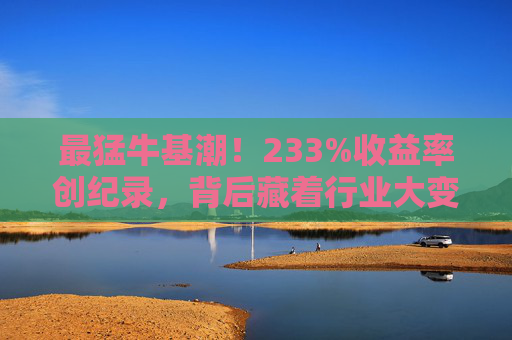 最猛牛基潮！233%收益率创纪录，背后藏着行业大变革：投研升级改写赚钱逻辑