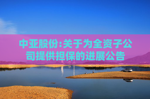 中亚股份:关于为全资子公司提供担保的进展公告