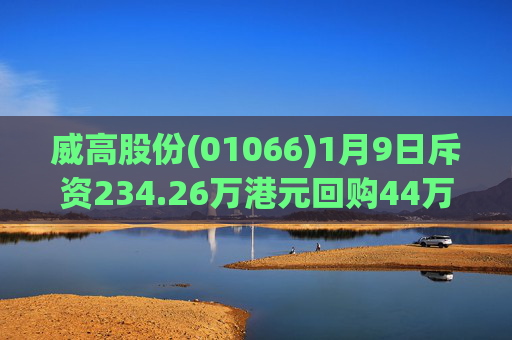 威高股份(01066)1月9日斥资234.26万港元回购44万股