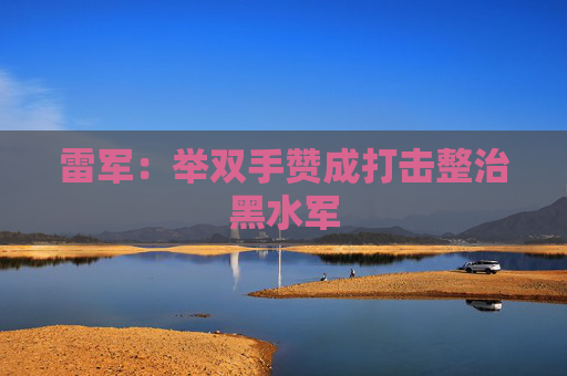 雷军:举双手赞成打击整治黑水军