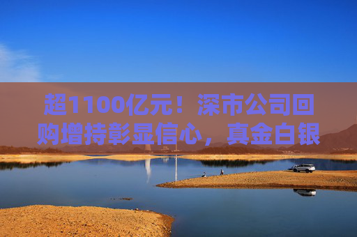 超1100亿元!深市公司回购增持彰显信心,真金白银护航市场稳定 第1张 超1100亿元!深市公司回购增持彰显信心,真金白银护航市场稳定 第1张