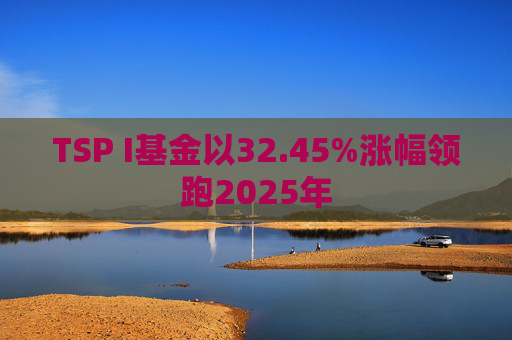 TSP I基金以32.45%涨幅领跑2025年
