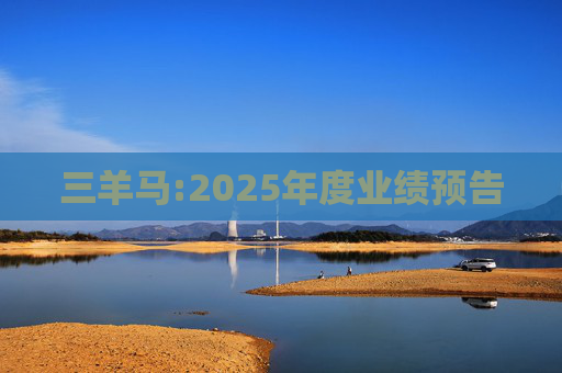 三羊马:2025年度业绩预告