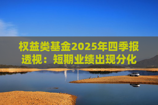 权益类基金2025年四季报透视：短期业绩出现分化