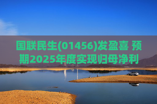 国联民生(01456)发盈喜 预期2025年度实现归母净利润20.08亿元 同比增加406%左右  第1张