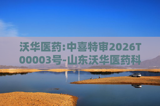 沃华医药:中喜特审2026T00003号-山东沃华医药科技股份有限公司-关联资金占用报告  第1张