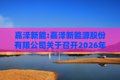 嘉泽新能:嘉泽新能源股份有限公司关于召开2026年第一次临时股东会的通知