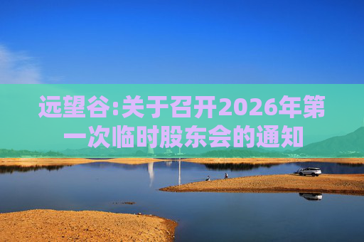 远望谷:关于召开2026年第一次临时股东会的通知  第1张