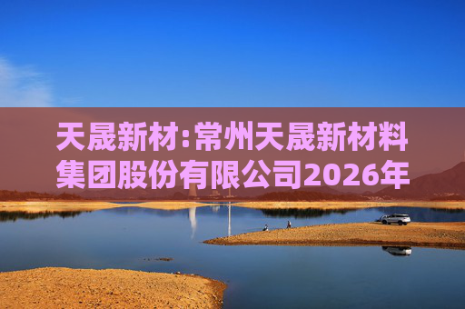 天晟新材:常州天晟新材料集团股份有限公司2026年度向特定对象发行股票方案论证分析报告