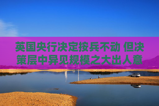 英国央行决定按兵不动 但决策层中异见规模之大出人意料
