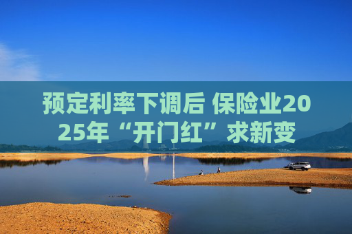 预定利率下调后 保险业2025年“开门红”求新变