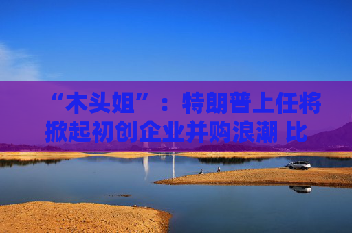 “木头姐”：特朗普上任将掀起初创企业并购浪潮 比特币2030年将突破100万美元  第1张