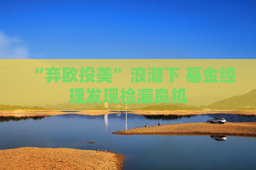 “弃欧投美”浪潮下 基金经理发现捡漏良机