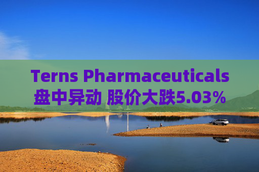 Terns Pharmaceuticals盘中异动 股价大跌5.03%