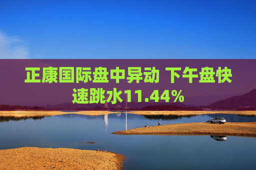 正康国际盘中异动 下午盘快速跳水11.44%