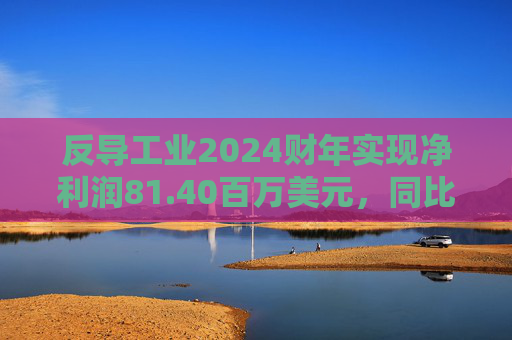 反导工业2024财年实现净利润81.40百万美元，同比减少67.57%