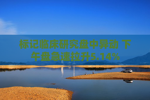 标记临床研究盘中异动 下午盘急速拉升5.14%