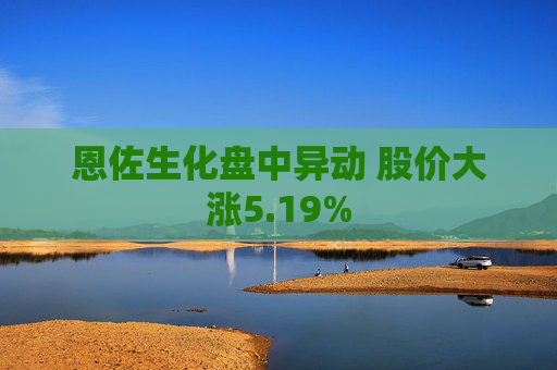 恩佐生化盘中异动 股价大涨5.19%