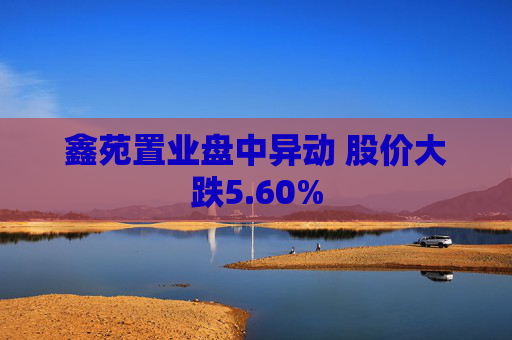 鑫苑置业盘中异动 股价大跌5.60%