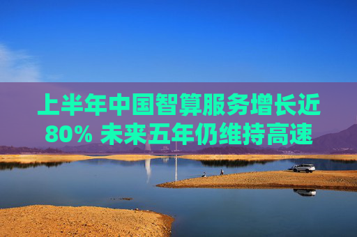 上半年中国智算服务增长近80% 未来五年仍维持高速发展