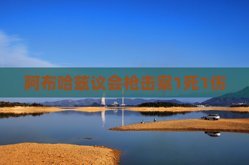 阿布哈兹议会枪击案1死1伤