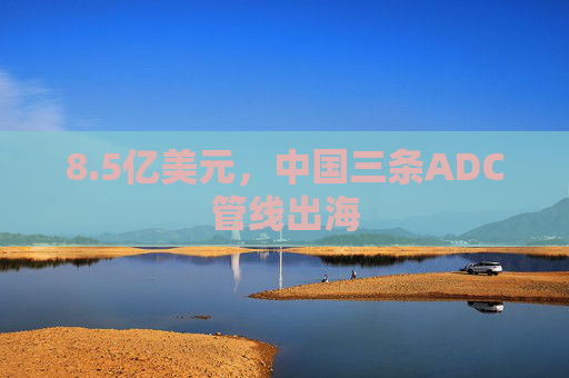 8.5亿美元，中国三条ADC管线出海