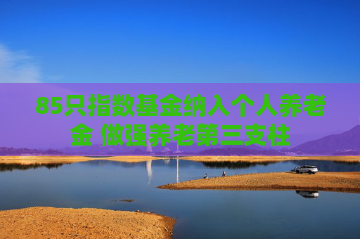 85只指数基金纳入个人养老金 做强养老第三支柱