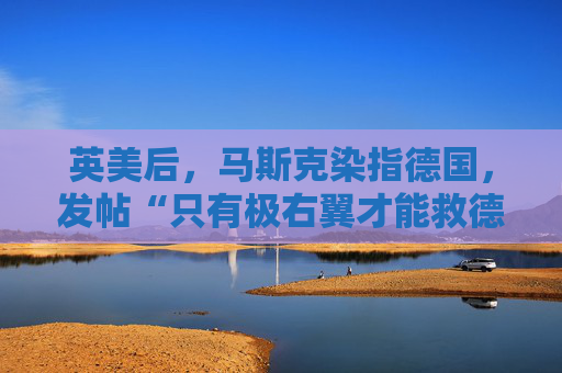 英美后，马斯克染指德国，发帖“只有极右翼才能救德国”
