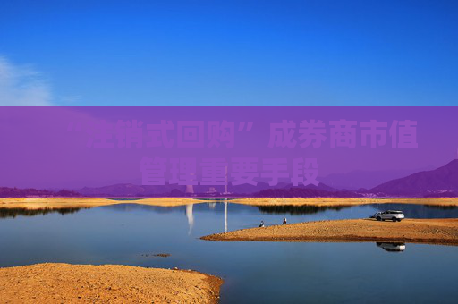 “注销式回购”成券商市值管理重要手段