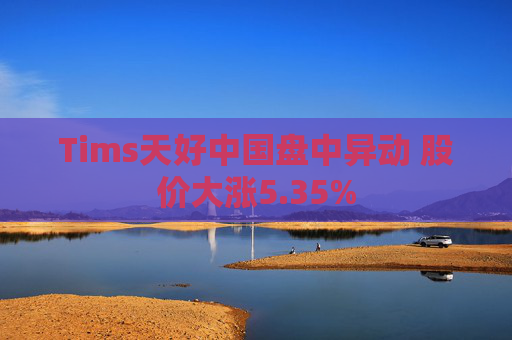 Tims天好中国盘中异动 股价大涨5.35%