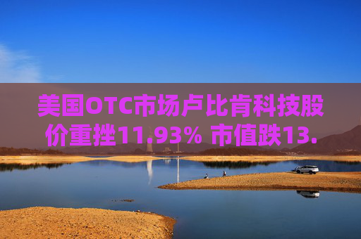 美国OTC市场卢比肯科技股价重挫11.93% 市值跌13.78万美元