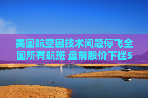 美国航空因技术问题停飞全国所有航班 盘前股价下挫5.5%