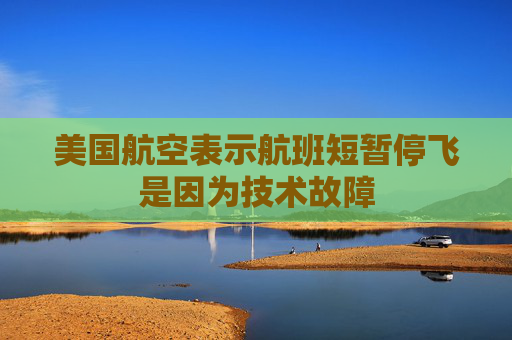 美国航空表示航班短暂停飞是因为技术故障