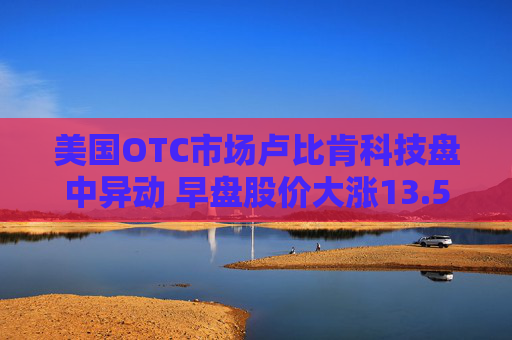 美国OTC市场卢比肯科技盘中异动 早盘股价大涨13.55%