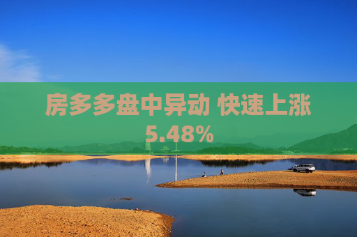 房多多盘中异动 快速上涨5.48%