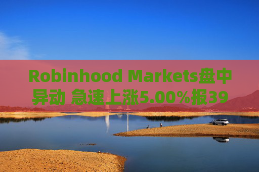 Robinhood Markets盘中异动 急速上涨5.00%报39.38美元
