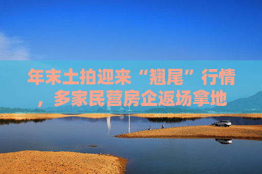 年末土拍迎来“翘尾”行情，多家民营房企返场拿地